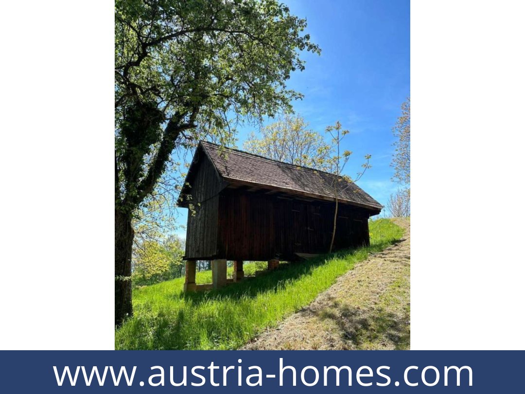 austria-homes-bad gams-8524-20251010221925-0032401008.jpg austria-homes-bad gams-8524-20251010221925-0032401008.jpg